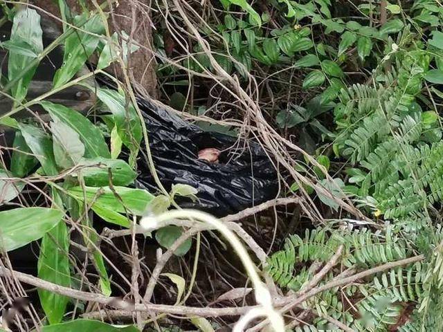 最新行李箱惊现中国男尸嫌犯或逃往柬埔寨西港