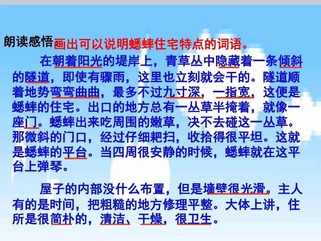 教案格式怎么设计_四年级表格式教案_教学教案格式