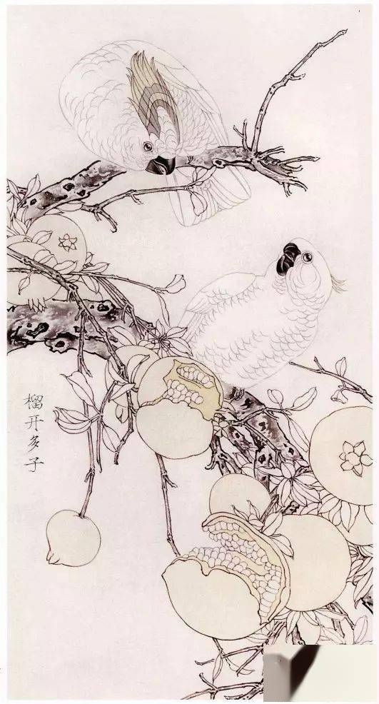 工笔花鸟榴开多子画法步骤