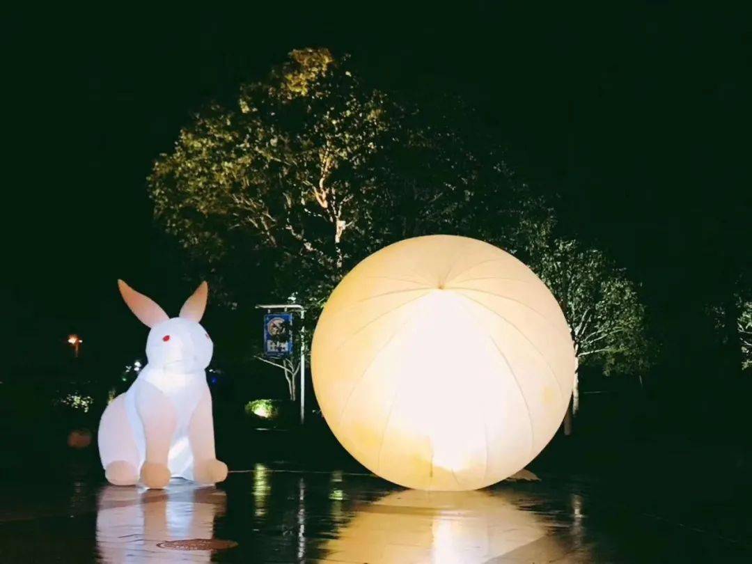 活动报名传统节日我们这样过我的祖国61我的家中秋节主题教育活动