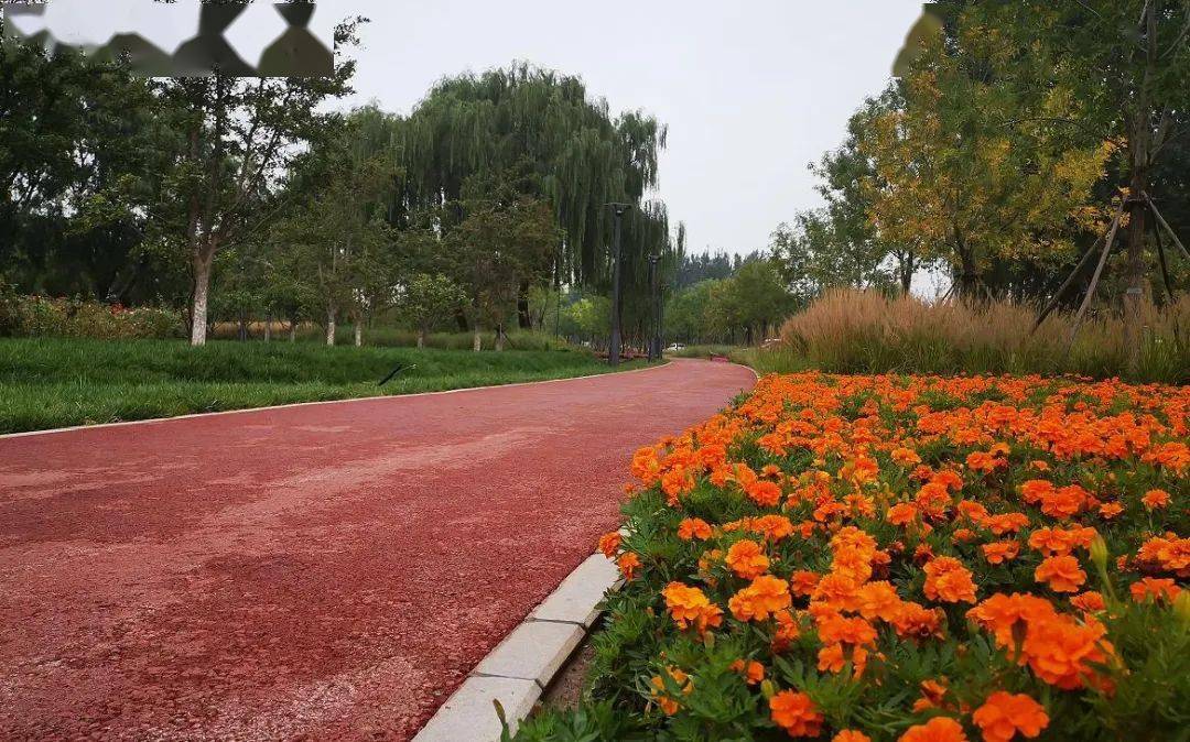 攻略来啦!城市绿心森林公园明天开园,怎么玩看这里