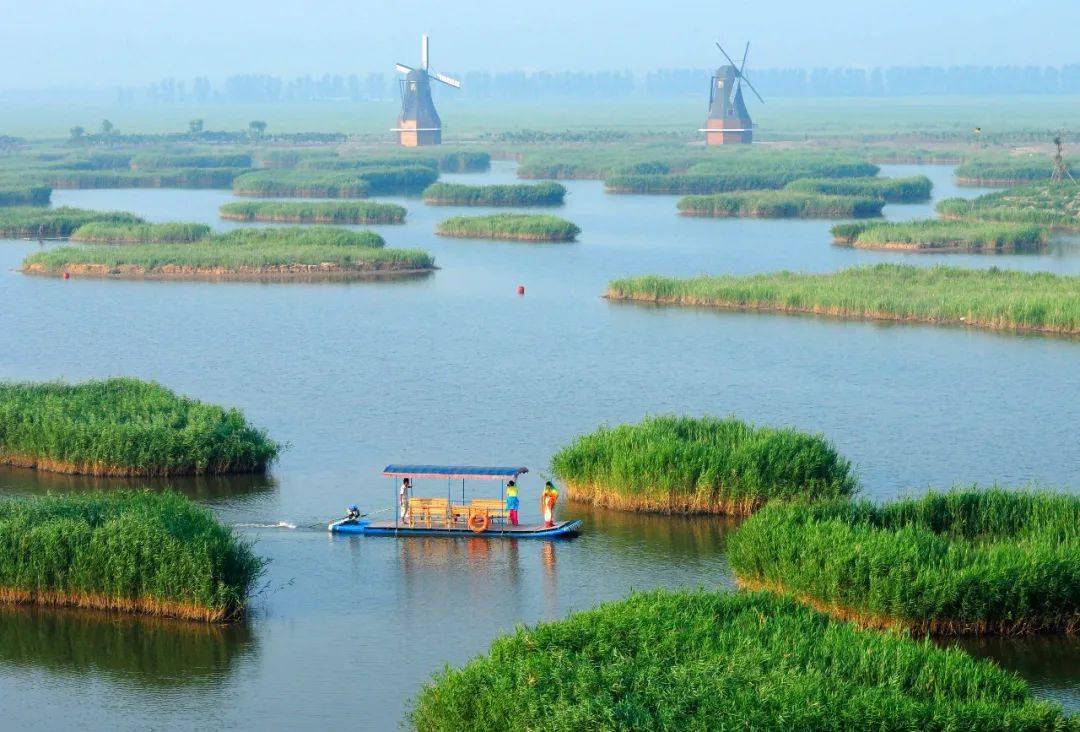 中秋遇到国庆这个秋天我在巨淀湖等你