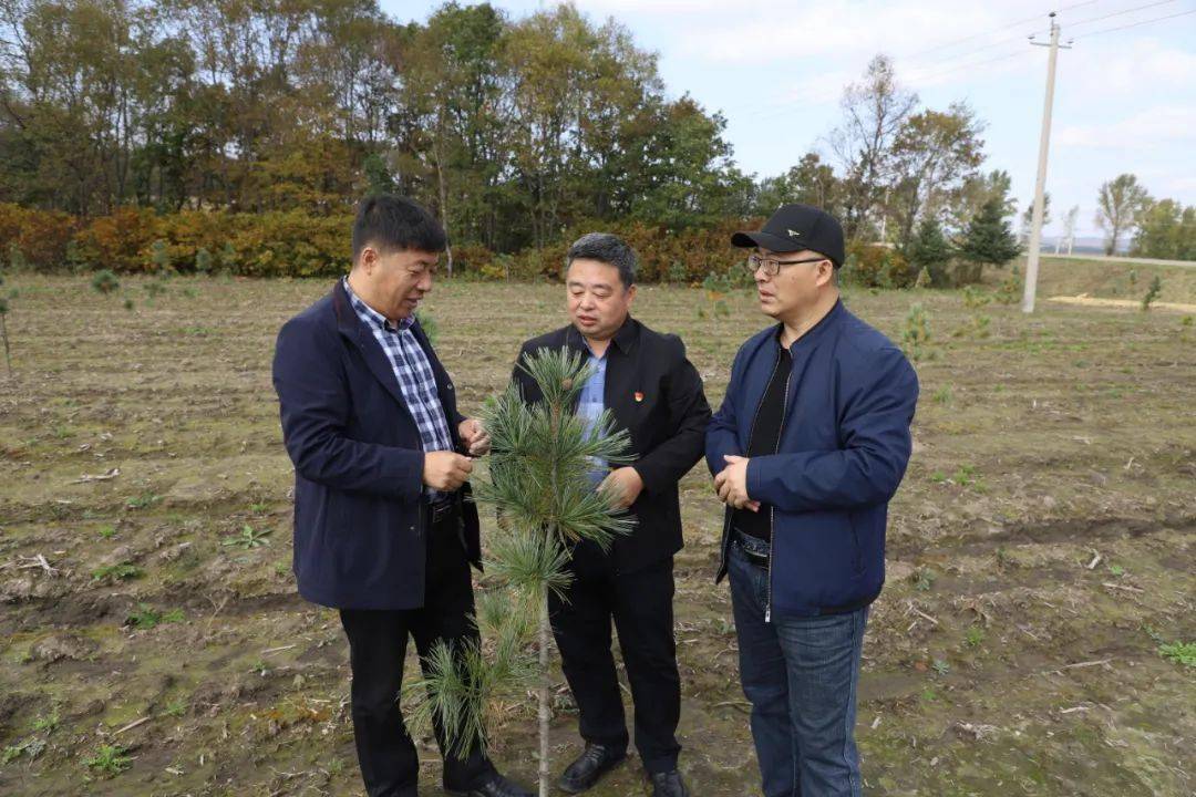 9月29日,八五〇农场有限公司副总经理付东波带领农业部门,区站管理