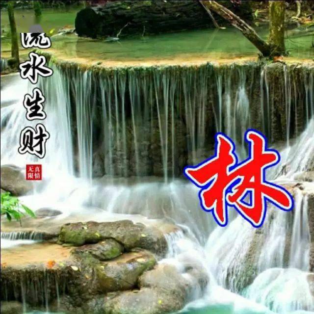 中老年头像大全110张流水生财姓氏头像竹林深处有人家几多幽静几多愁