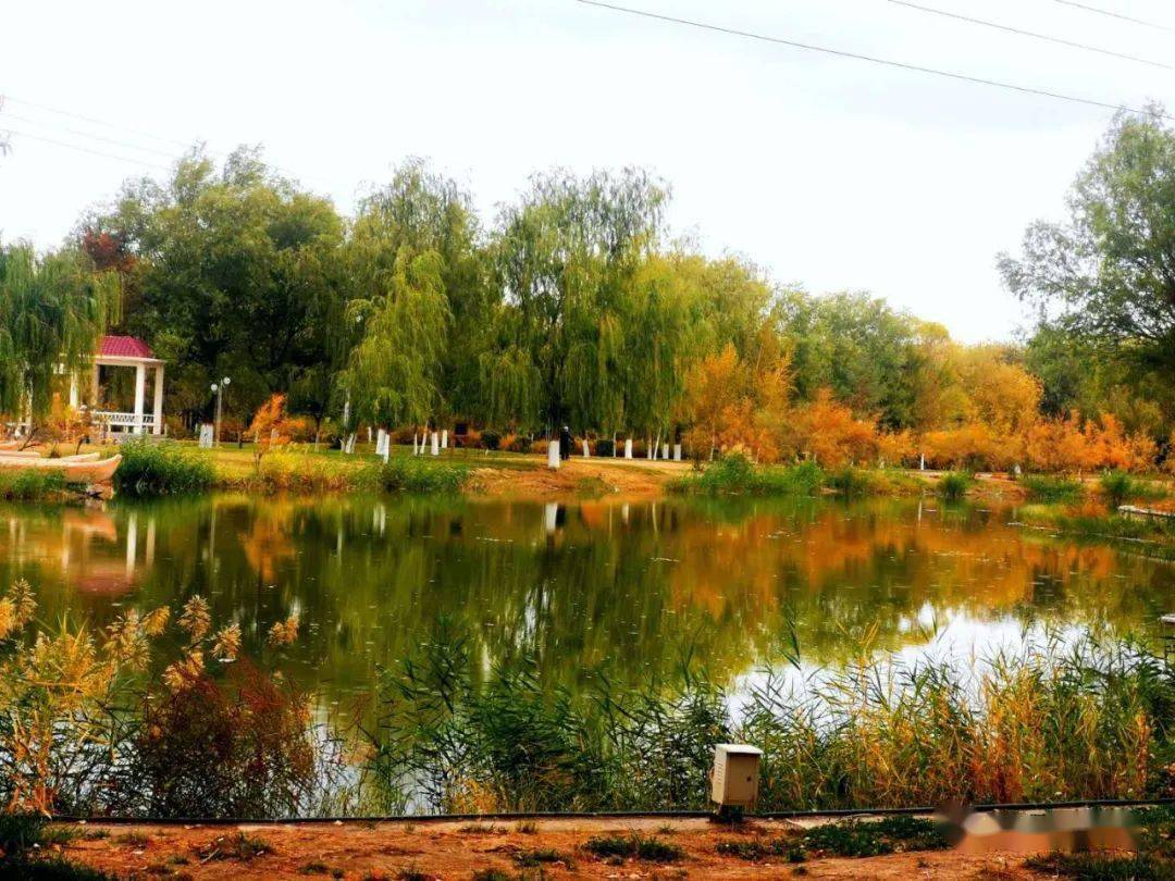 快看,我刚拍的滨河公园绚丽秋景!_手机搜狐网