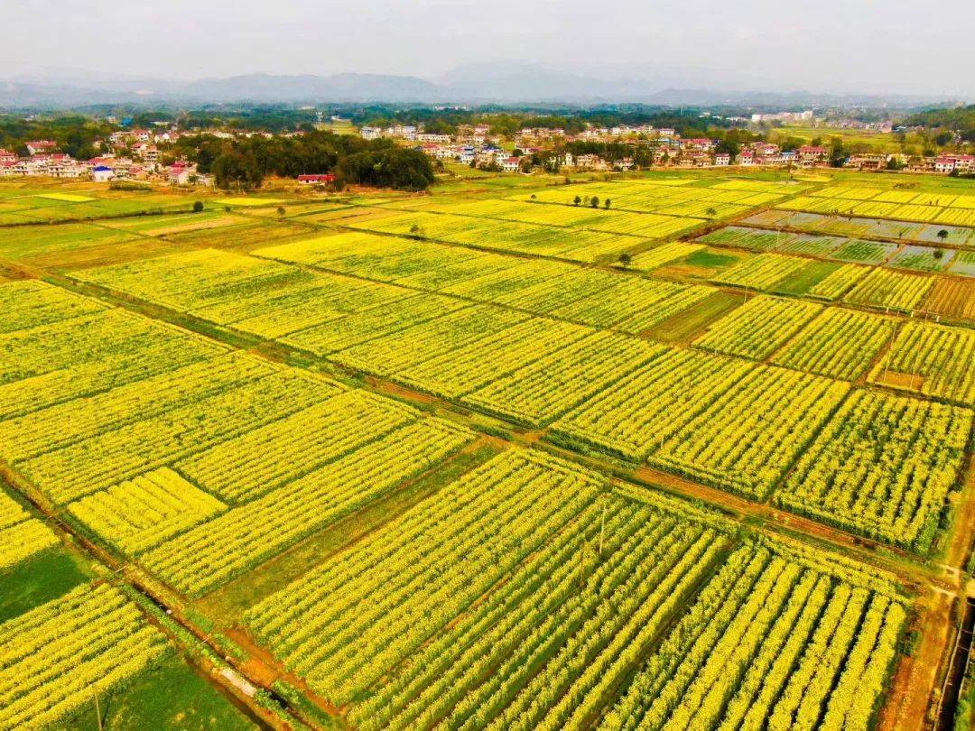 对话万载县农业农村局局长喻阳青绿色发展先行助力乡村振兴