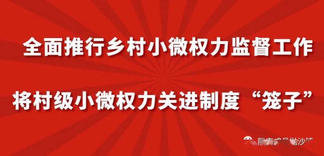 抛沙工作落实抛沙镇召开乡村小微权力监督业务培训会