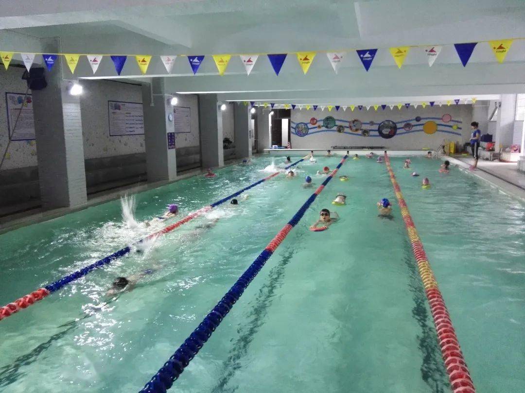 岐校岐师石岐游泳健儿们好样的