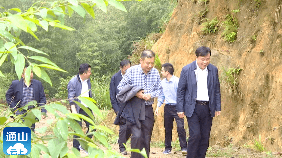 石玉华:讲好古树故事,让古树"活起来"