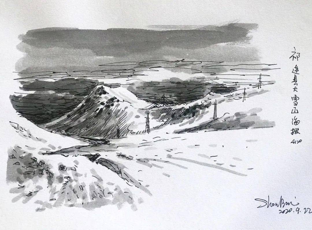 一路开车至青海湖畔眼前肥沃的土壤一望无际的大草原养育出强壮的羊群