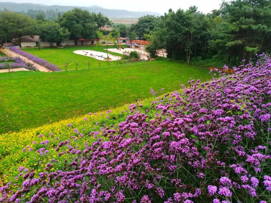 住花海民宿佔地3000餘畝的一丘田尋甸善態莊園,昆明出發一個多小時