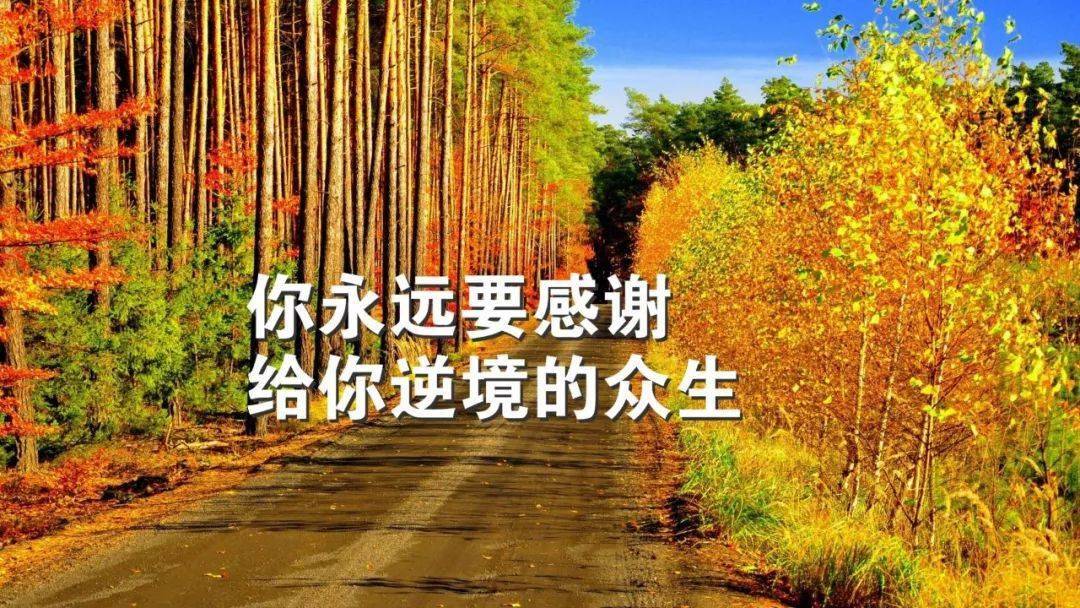 早安心語正能量激勵語句早安勵志圖片帶字正能量