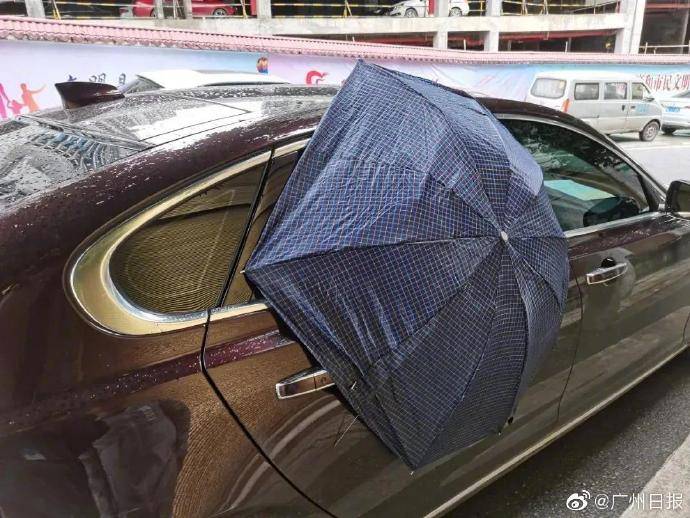 车主停车忘关车窗,第二天一早发现车窗上撑了一把伞