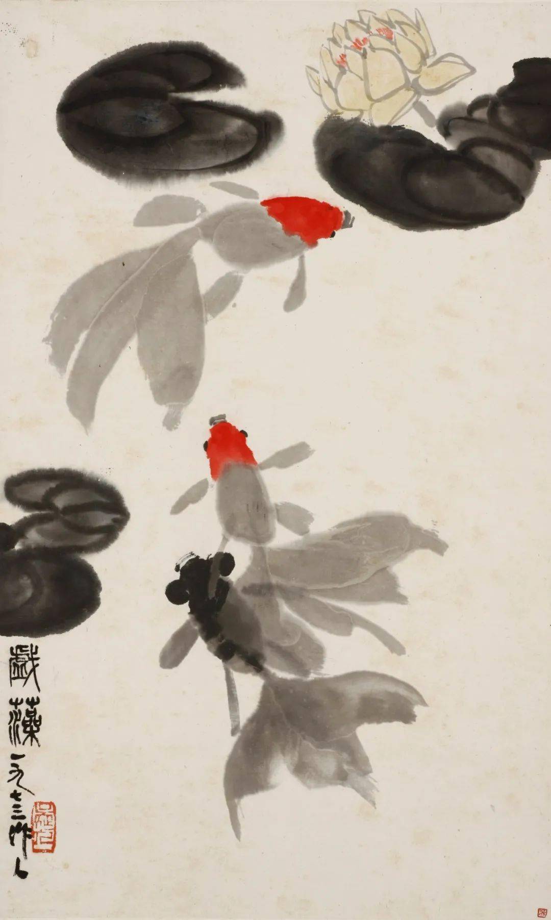 "艺夺天工——吴作人中国画金鱼作品研究展"亮相苏州吴作人艺术馆