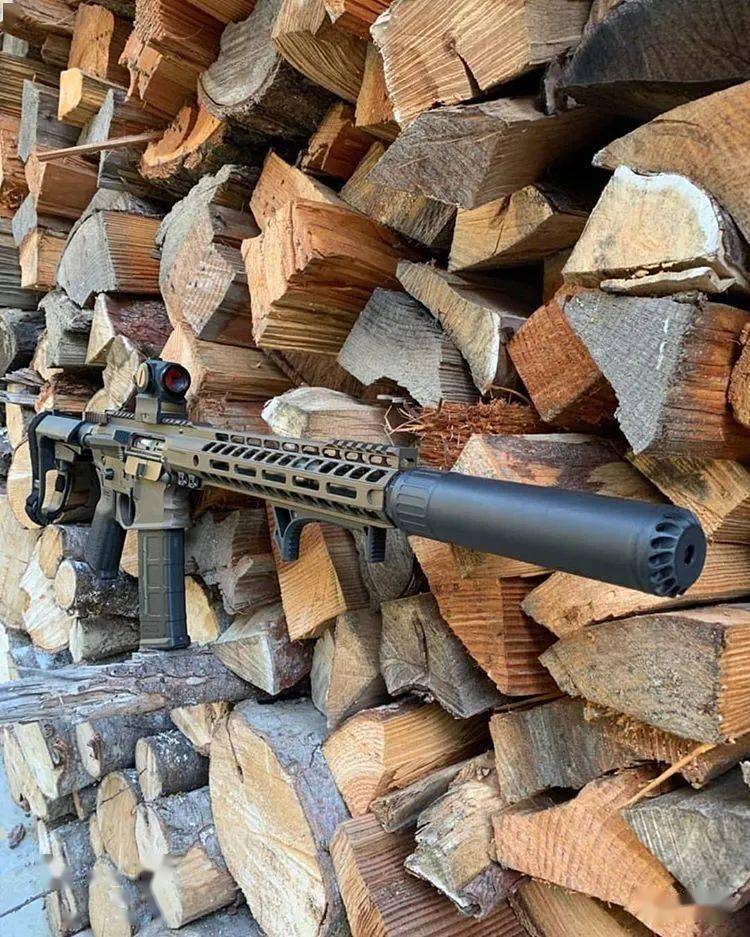 琴瑟和鸣oss消音器美图欣赏