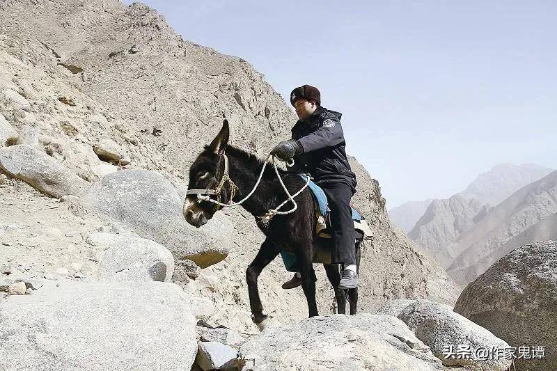 名家佳作张行健乡村牲畜之驴篇