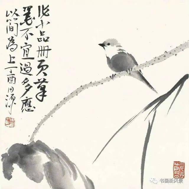 这组极简花鸟小品妙得其神品之有味果断收藏