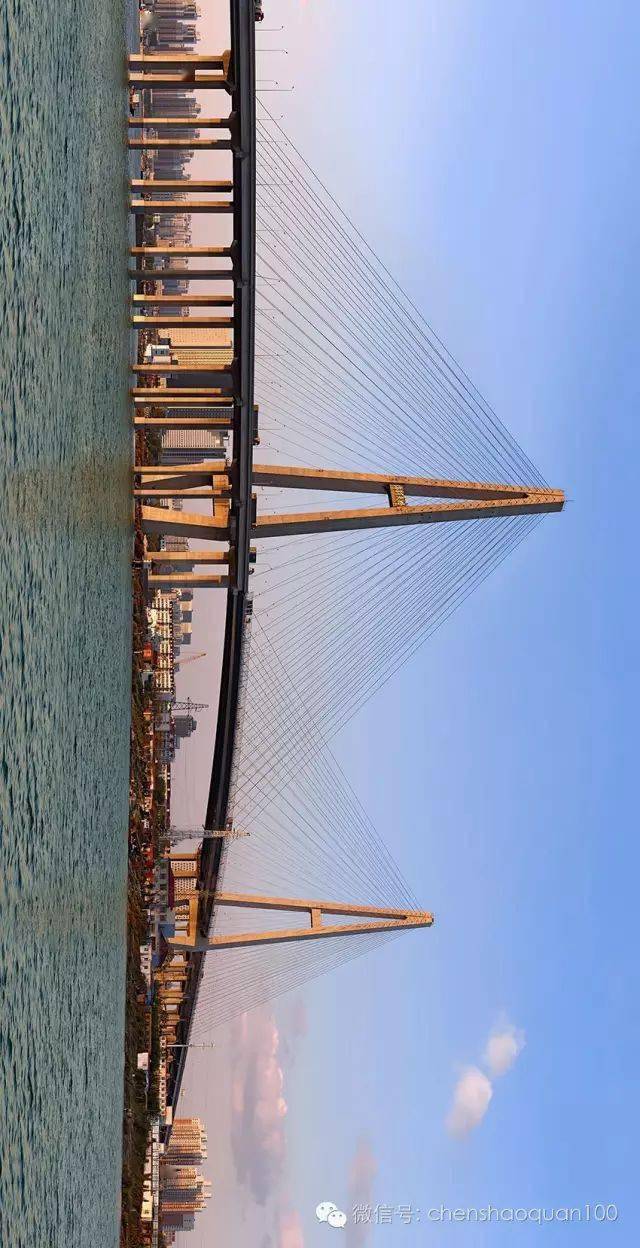 海河特大桥图片