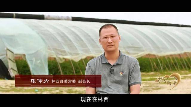 林西县代县长迟亚玲图片