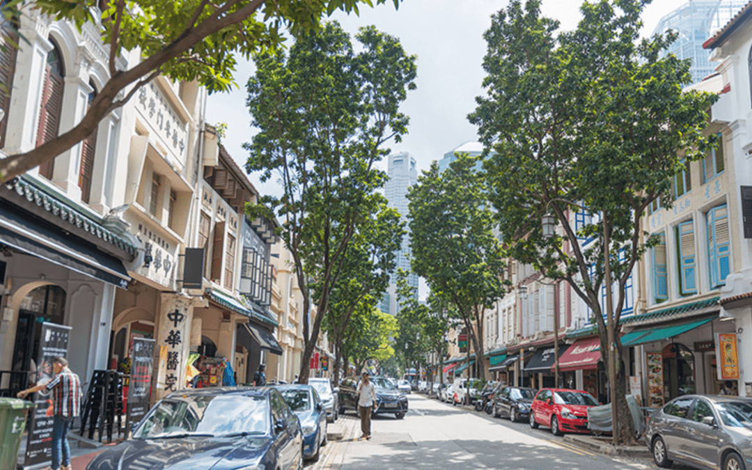 你所不知道的新加坡版chinatown牛车水