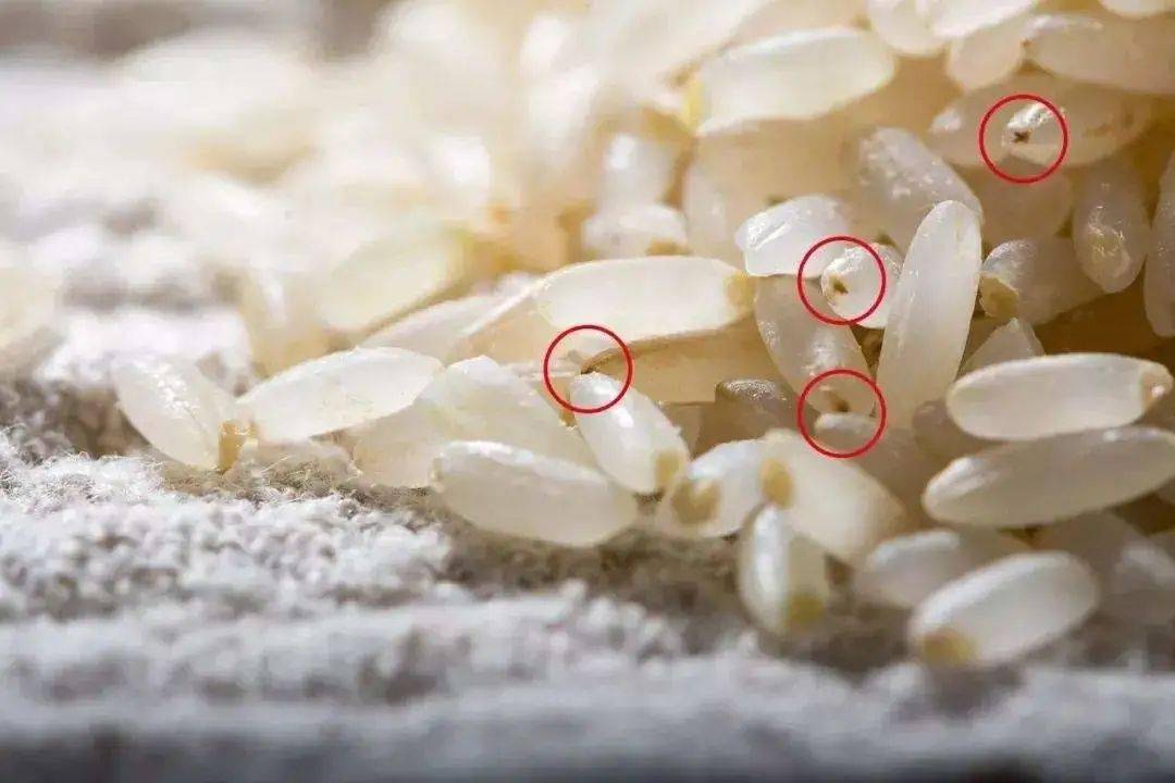 只要米袋上有这行字,别犹豫,买回家吧~绝对是好米!