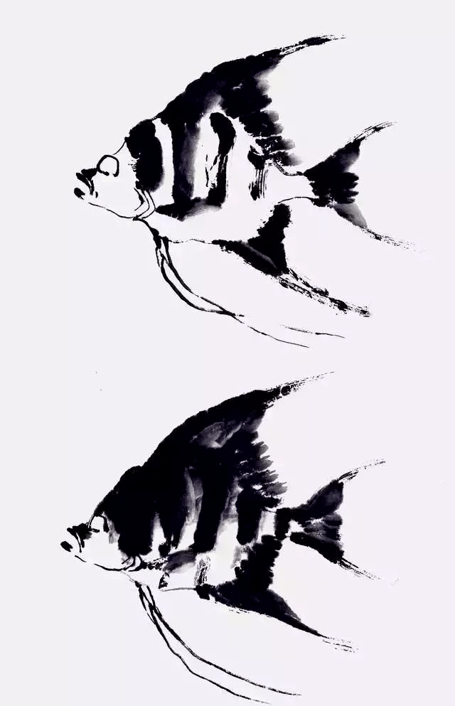 3步教你画好热带鱼