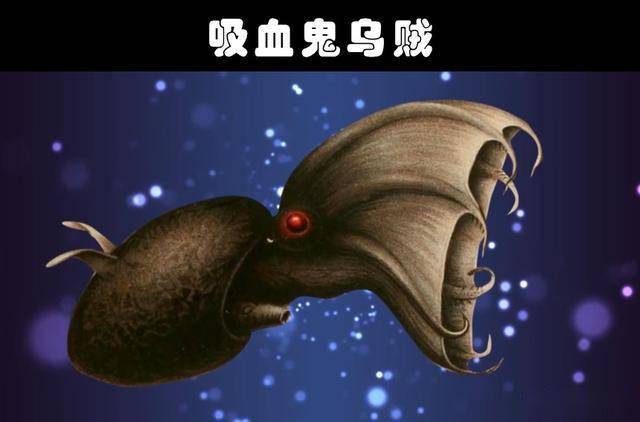 如今依然存在世界上的10大看似可怕的海洋生物