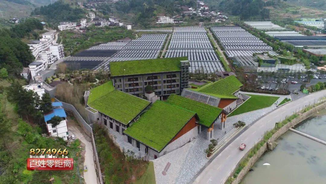 雲谷田園總佔地面積為2500畝,致力建設成為集生產,科研,科普,展示