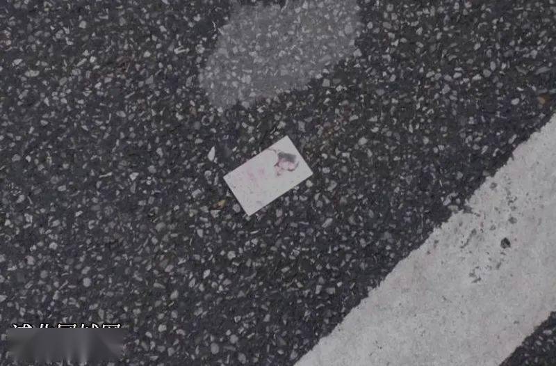 浦北街上见到掉地上的百元大钞你捡过吗