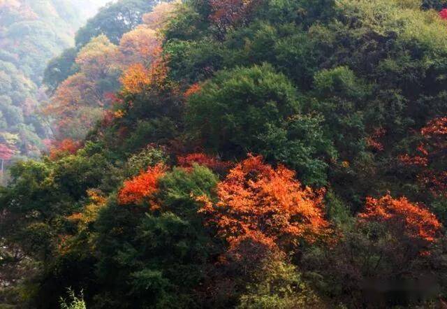 隴縣百里山水畫廊領略八渡深秋山水之美