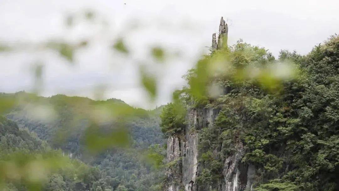 三遊洋山河意猶仍未盡