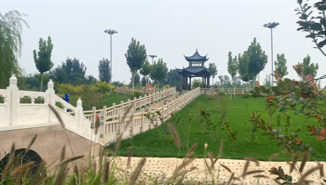 双节同庆不必远行亦有风景国庆假期来枣强县劳动公园打卡吧
