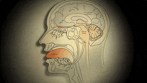 因为腿部的血管受到外力挤压,无法稳定地给神经供应氧气,葡萄糖[2].