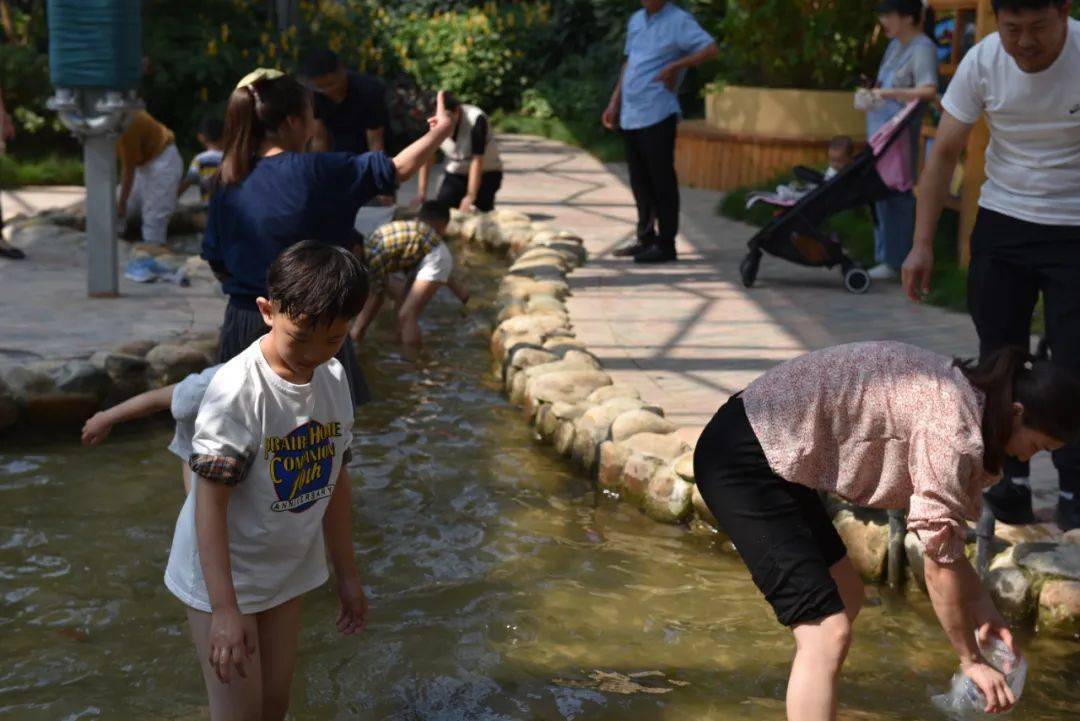 双节第七天:错峰更舒适,感受金湖美