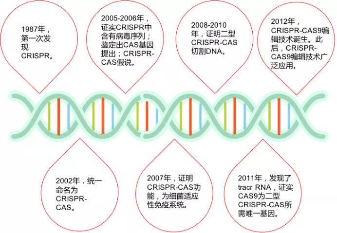 crispr基因编辑技术获诺奖大自然是宝贵的灵感来源