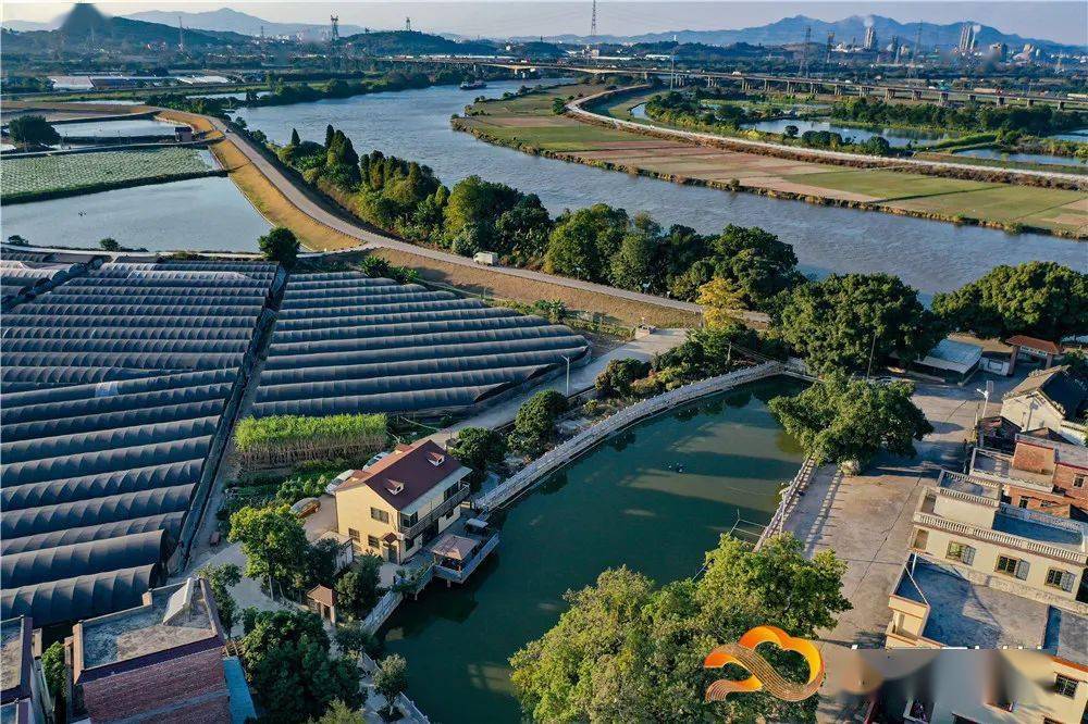 走去江高看骑楼喝糖水感受乡村自然风光之美