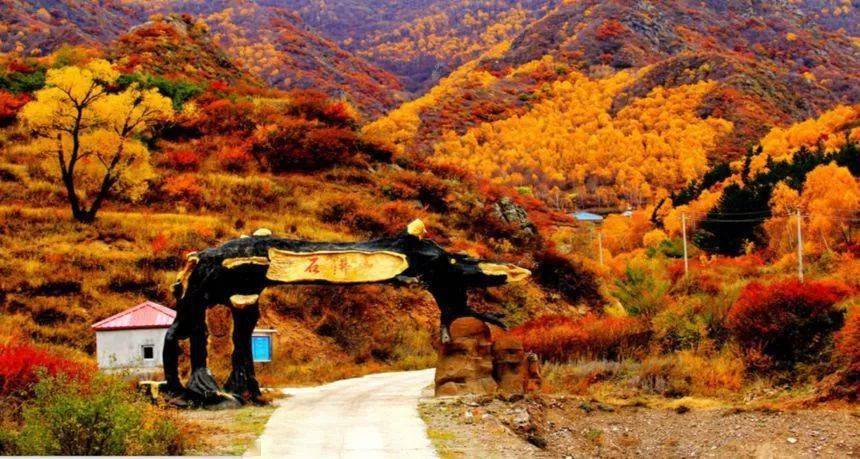 下花园刘家庄森林景区最美秋色已上线满眼惊叹