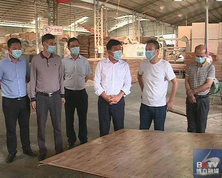 国庆期间,博白县县长孙国梁到龙潭旺茂两镇,调研这些工作