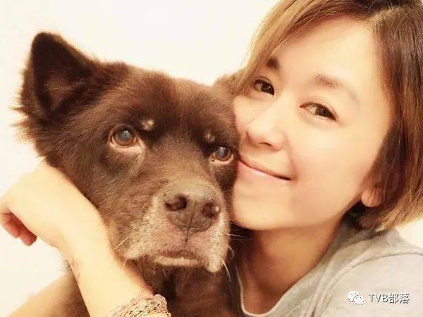 【永別毛孩】唐寧愛犬coffee脾臟肝臟患病離世 貼毛孩照悼念:我永遠愛