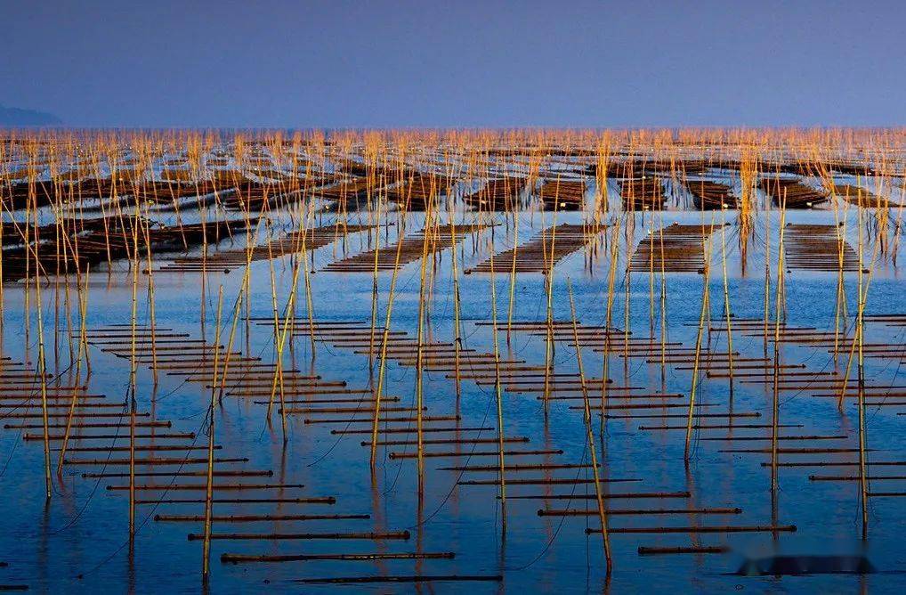 11月1日-6日【光影季】霞浦滩涂风光,紫菜养殖,惠安女民俗摄影实战