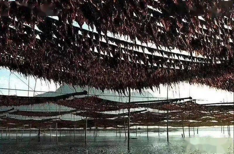 11月1日-6日【光影季】霞浦滩涂风光,紫菜养殖,惠安女民俗摄影实战