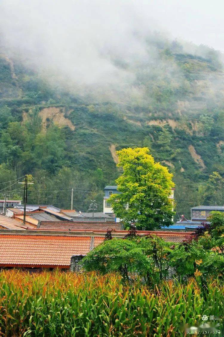 【陇南礼县白关镇】金秋十月,一线飘红