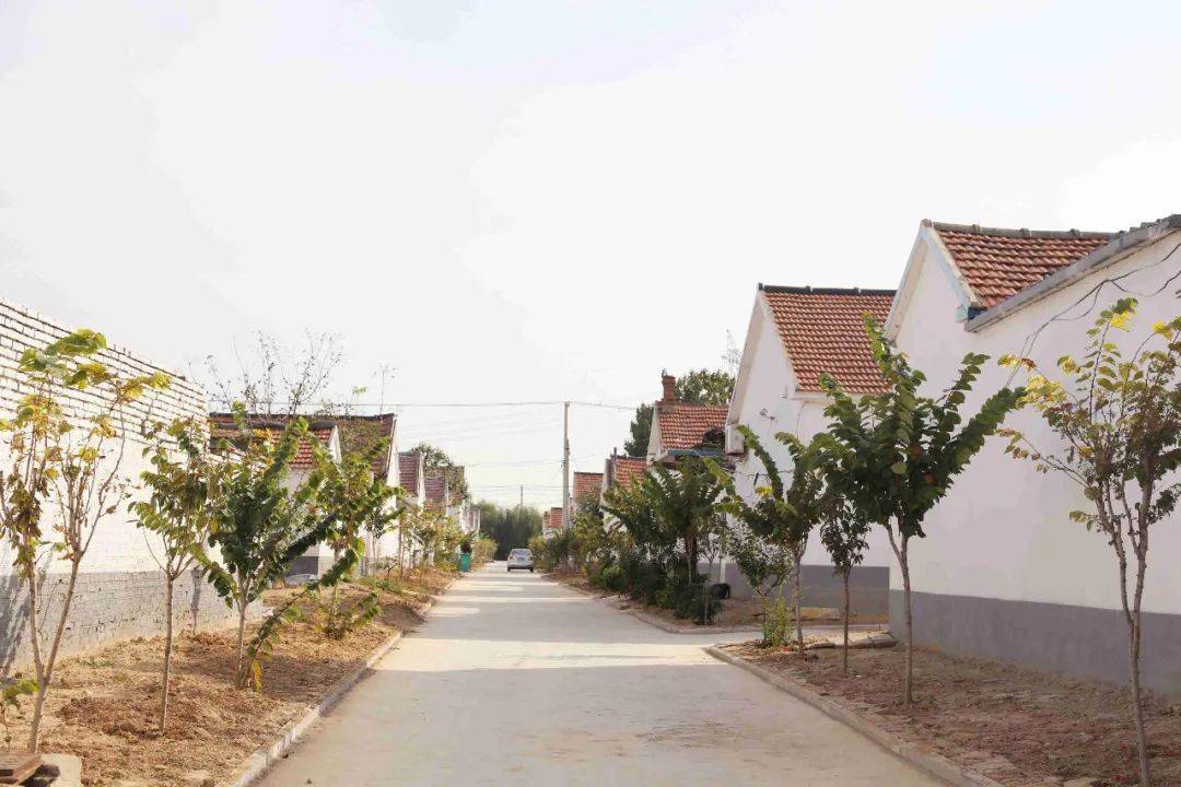 房前屋后皆风景为美丽乡村留住鸟语花香