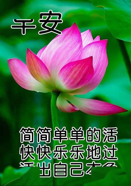 10月9日最漂亮早上好动态表情图片大全早晨好动图美图大全