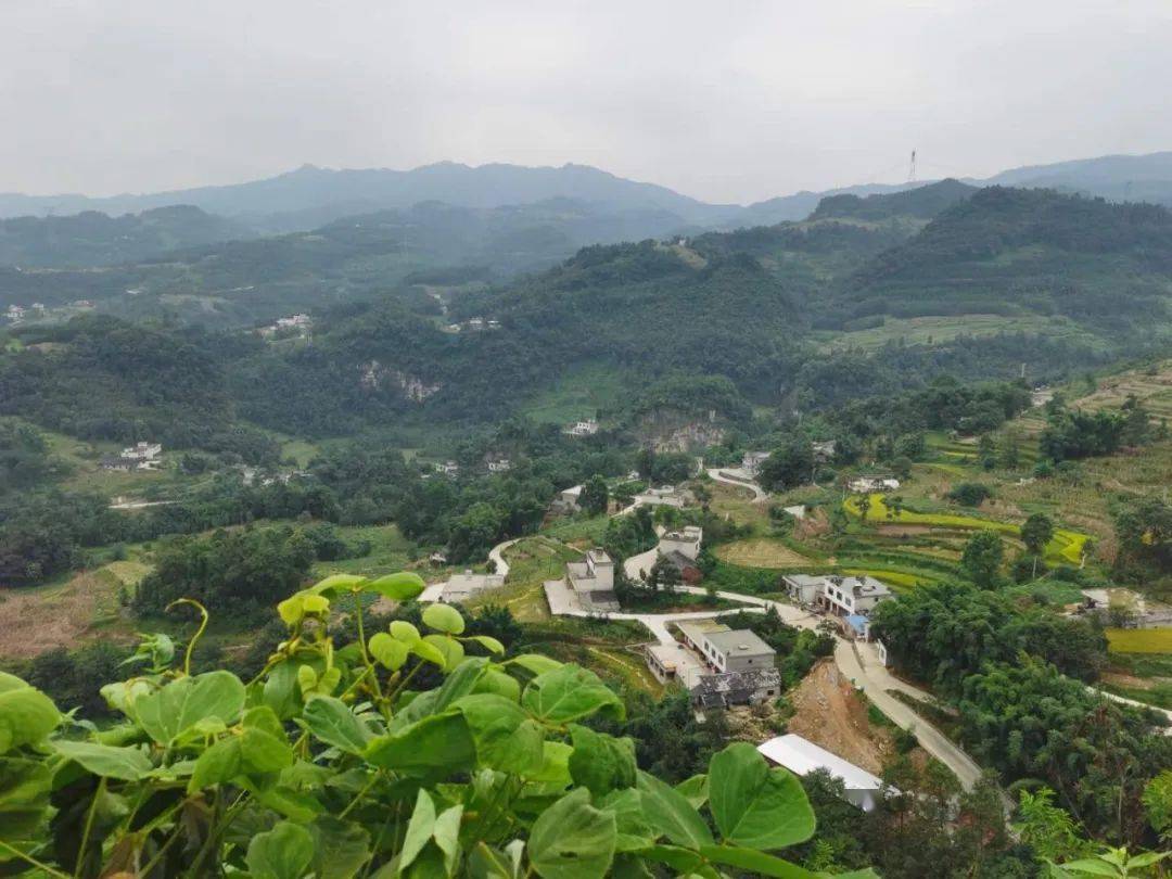 四川发展控股有限责任公司李文清董事长张宜刚总经理率队到大坝苗族乡