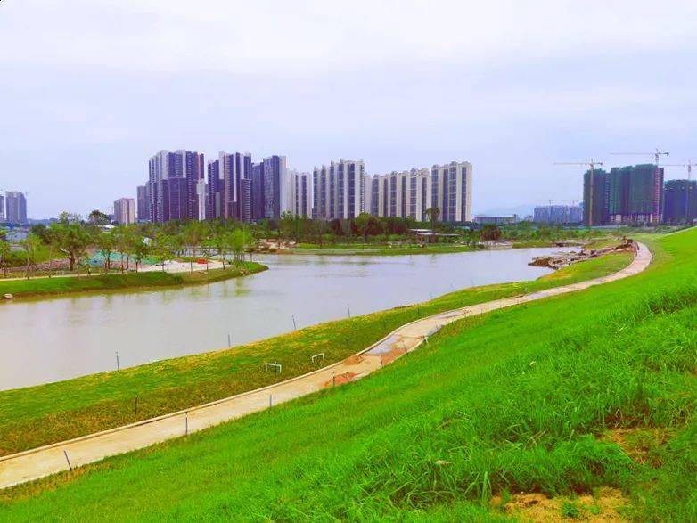 年内开放高明将新增一湿地公园多图提前曝光
