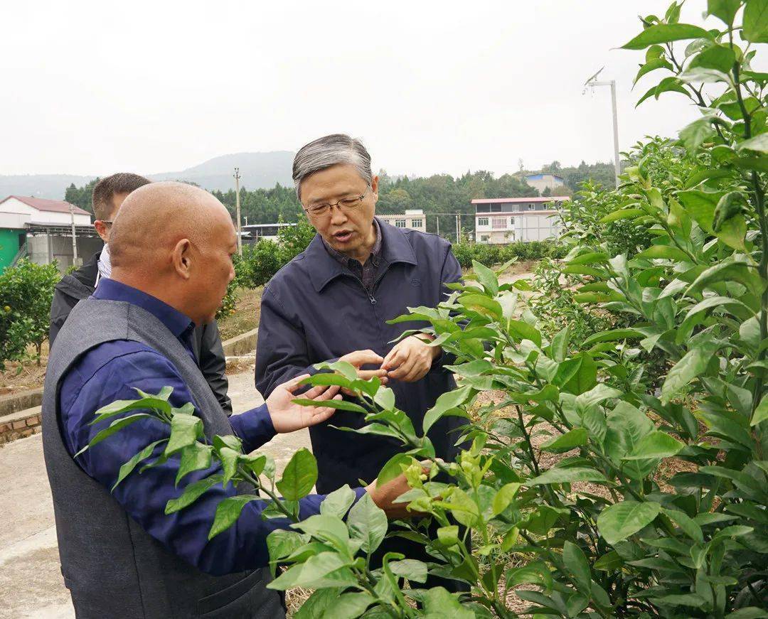 随后,马义一行实地考察了尖寨村扶贫产业园区,对产