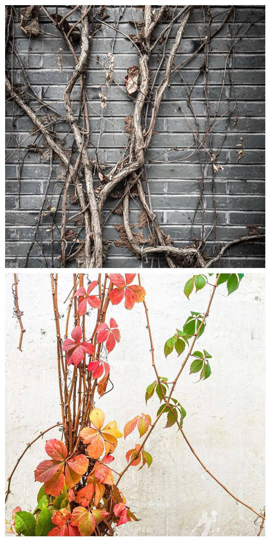 凡是摄影微影赛(159)-《并置》首周投稿欣赏