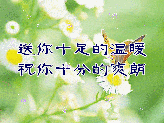 早上好十份真诚的问候十份实意的祝福早上好祝福动态图片太美了