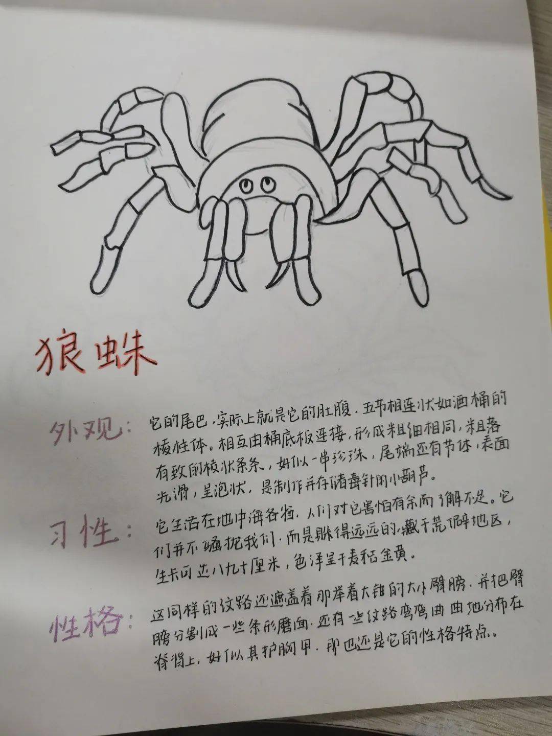 绘思维导图,记成长点滴——八年级语文优秀作业展_徐璐